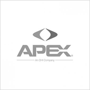 Apex Shoes